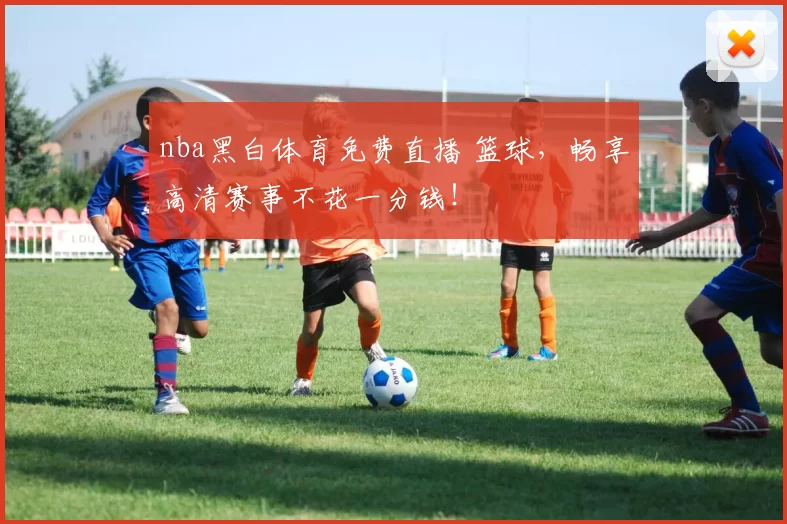 nba黑白体育免费直播 篮球,畅享高清赛事不花一分钱!