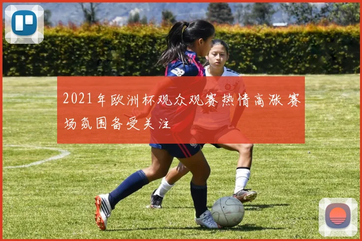 2021年欧洲杯观众观赛热情高涨 赛场氛围备受关注