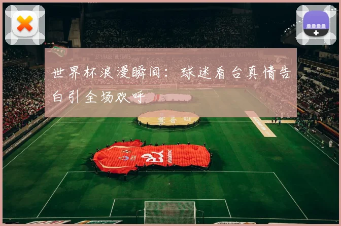 世界杯浪漫瞬间:球迷看台真情告白引全场欢呼