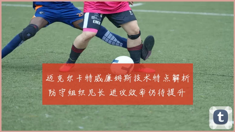 迈克尔卡特威廉姆斯技术特点解析 防守组织见长 进攻效率仍待提升
