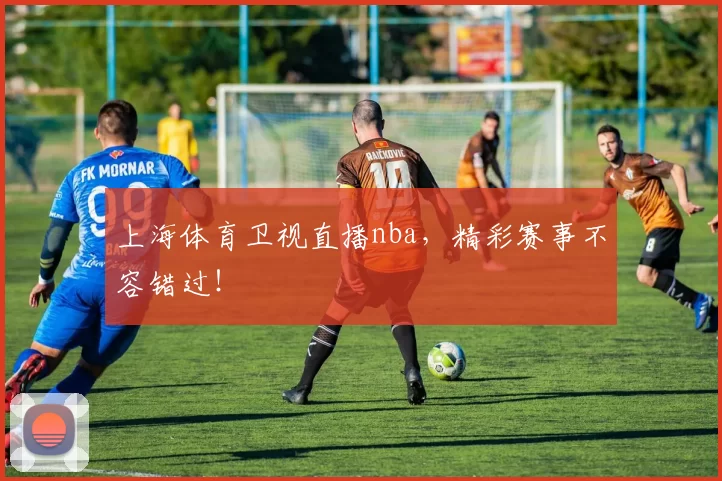 上海体育卫视直播nba，精彩赛事不容错过！
