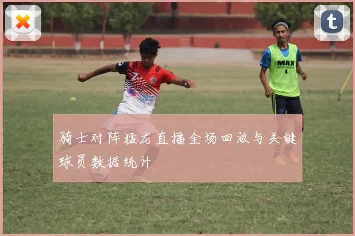 骑士对阵猛龙直播全场回放与关键球员数据统计